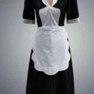 الزي العمل النسائي الكلاسيكي